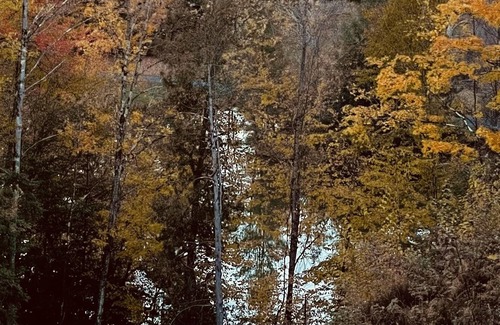 Moscow RV Rental | Tentrr Signature Site - Critter Creek Stowe Campsite