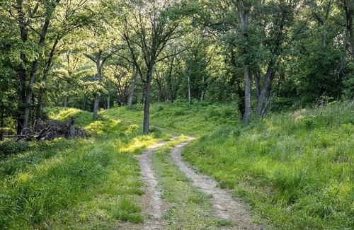 Thurston County RV Rental | Tentrr Signature Site - Hickory Campsite 1