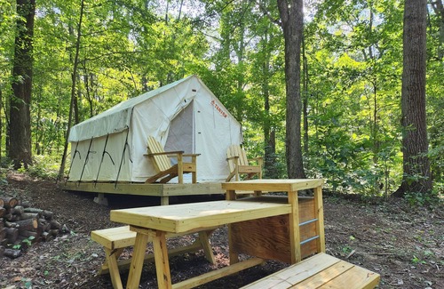 Logan RV Rental | Tentrr Signature Site - Lazy Ferret Glamping - Morel Hill