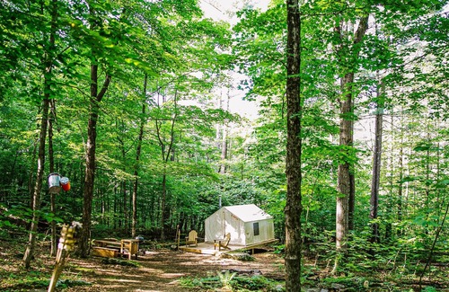 Catskill RV Rental | Tentrr Signature Site - The Old Catskill Game Farm Abandoned Zoo: Wooded Site