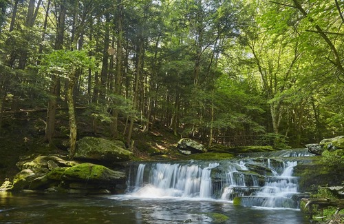 Elka Park RV Rental | Tentrr Signature Site - High Peak Meadows Camp NY