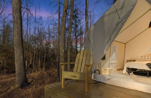 LaFayette RV Rental | Tentrr Signature Site - Moonpie Majestic Skies Getaway on Scenic Farm