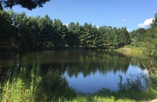 Franklin RV Rental | Tentrr Signature Site - Moonlit Pond
