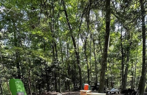 Watauga RV Rental | Tentrr Signature Site - Watauga River Paradise -Ledges Landing