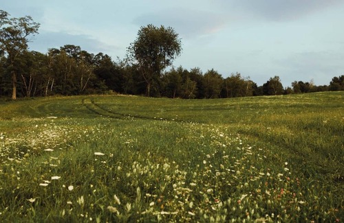 Stanfordville RV Rental | Tentrr Signature Site - Private Peaceful Farm Venture