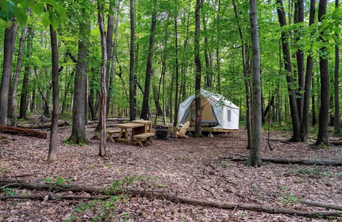 Gans RV Rental | Tentrr State Park Site - WV Coopers Rock State Park - Site I - Single Camp