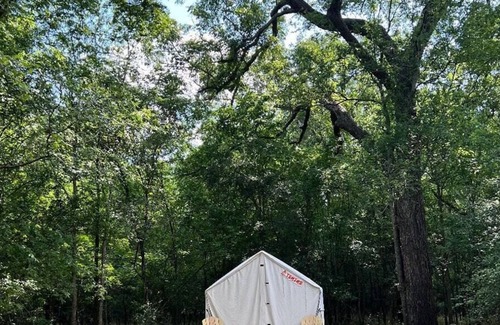 Texas Gulf Coast Region RV Rental | Tentrr State Park Site - Texas Brazos Bend State Park – Trailside E – Single C