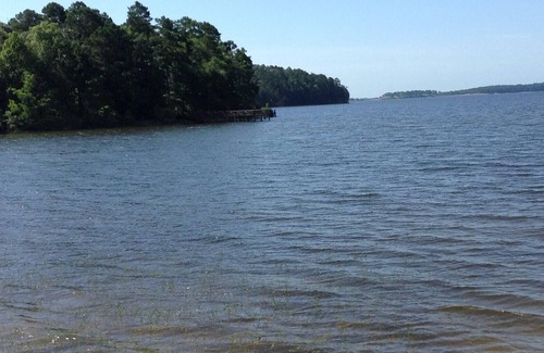 Anacoco RV Rental | Tentrr State Park Site - Louisiana South Toledo Bend State Park - Site C - Sing