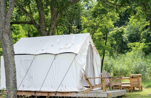 Mathias RV Rental | Tentrr State Park Site - WV Lost River State Park - Wooded Wilderness A - Single