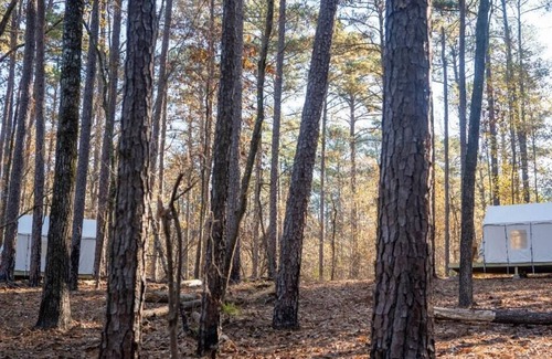 Quitman RV Rental | Tentrr State Park Site - Mississippi Clarkco State Park - Woodland B - Double Ca