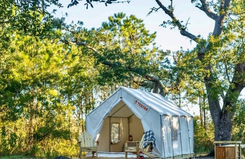 Bay St Louis RV Rental | Tentrr State Park Site - Mississippi Buccaneer State Park - Woodland D - Single