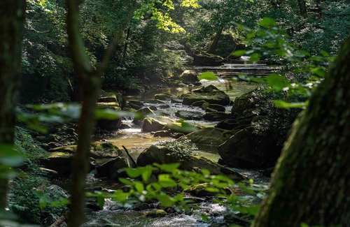 Ansted RV Rental | Tentrr State Park Site - WV Hawk's Nest State Park - Site H - Single Camp