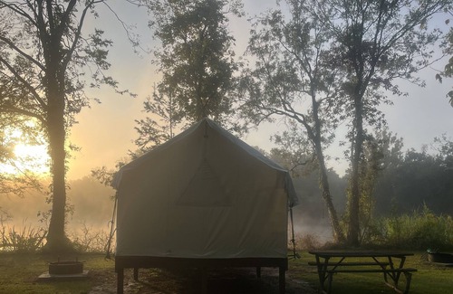 Iberia Parish RV Rental | Tentrr State Park Site - Louisiana Lake Fausse Pointe - Cypress Site A - Single