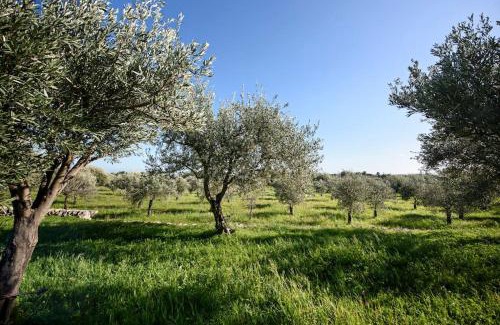 Noto Villa | Tenuta La Moresca