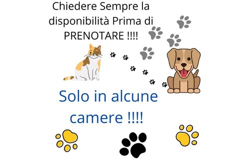 Frosinone Bed & Breakfast | Terra Ciociara BnB