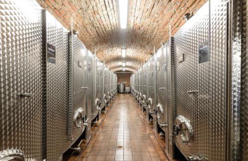 Velke Zaluzie House | Terra Wylak Winery