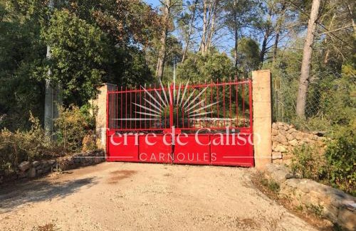 Carnoules House | Terre de Caliso