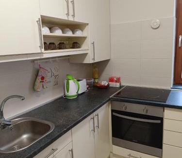 Debrecen Apartment | Thaly 5
