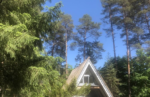 Milmersdorf House | Thatched roof vacation home🌴 at the Lübbesee boat & jetty 1300qm recreation Uckermark Templin