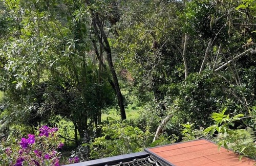 El Penol Cabin | The Alba Glamping Aurora