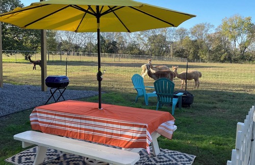 Gallatin House | The Alpaca Campa - Minutes to Nashville