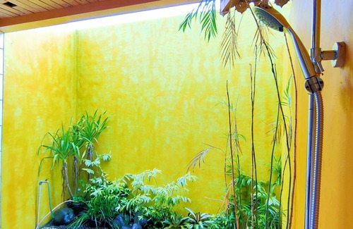 Borobudur Bed & Breakfast | The Amrta Borobudur