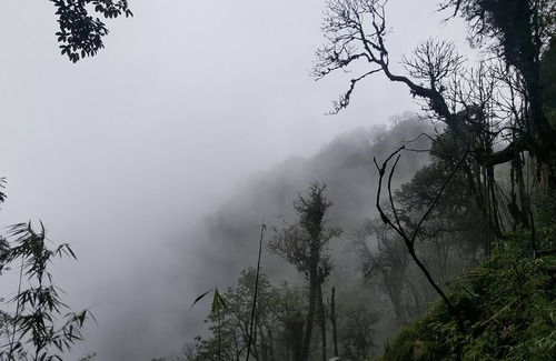 Gangtok House | The Aura-live homely