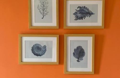 Phuket Apartment | The Base Central Phuket