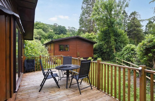 Machynlleth Cottage | The Beehive C29 - UK45926