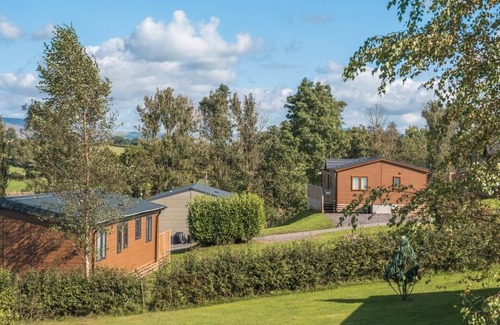 Carnforth Cabin | The Bee’s Knees is a beautiful new lodge at Docker Holiday Park.