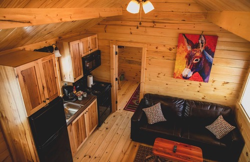 Amarillo Cabin | The Big Texan - Cabins & Wagons