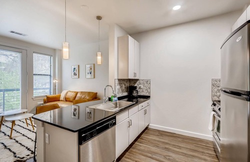 Travis Heights Apartment | The Bindel l South Congress l Professionally Managed + Pet Friendly!