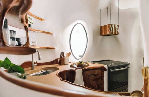 Westlake Highlands House | The Bloomhouse | Iconic Austin Sculptural Stay