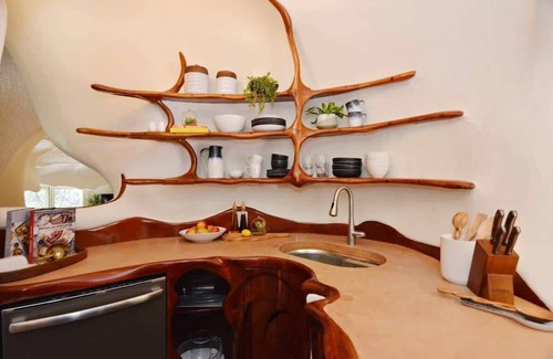 Westlake Highlands House | The Bloomhouse | Iconic Austin Sculptural Stay