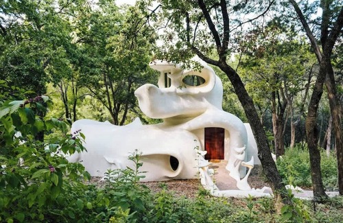Westlake Highlands House | The Bloomhouse | Iconic Austin Sculptural Stay