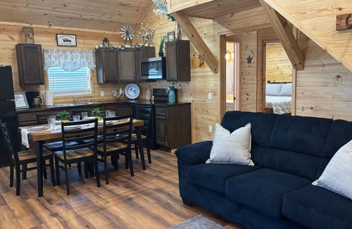 Dennis Cabin | The Blue Iris Cabin on Lake Granbury