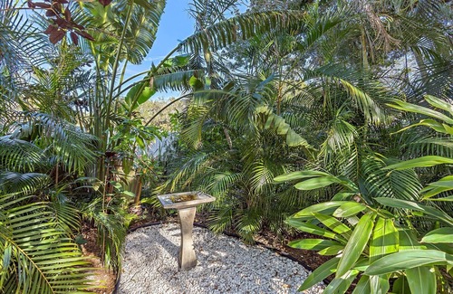 Central Sarasota Cottage | The Bromeliads - Cozy Cottage close to everything w/grill on patio