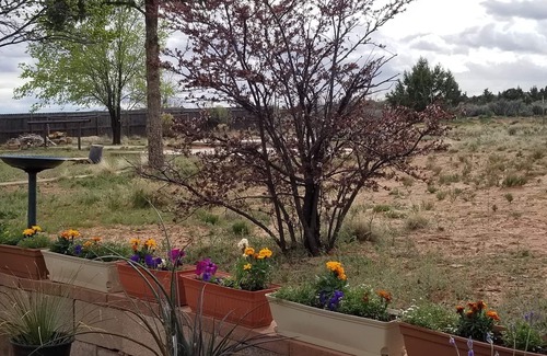Kanab Apartment | THE BUS STOP INN 2 Brand New! Great Views!
