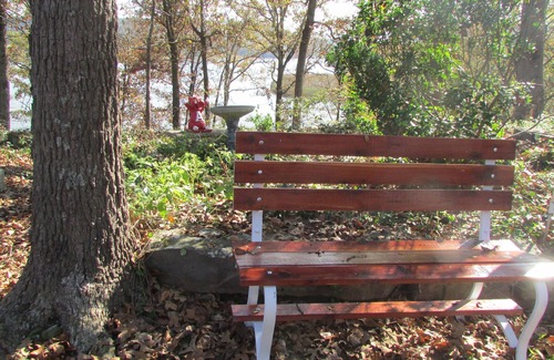 Scranton Cabin | The 'Byrd's Nest' Dublin Bay Lake Dardanelle