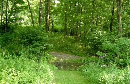 Chichester Cottage | The Cabin at Chichester in the Catskills Mountains