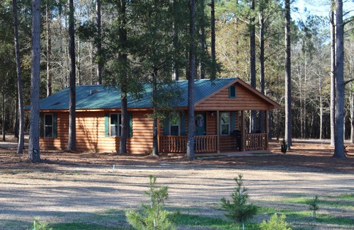 Fairhope Cabin | The Cabins At Fish River Christmas Tree Farm