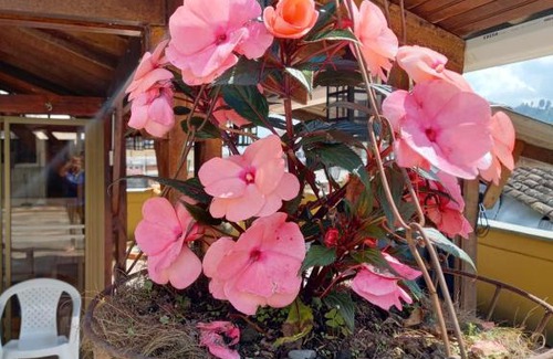 La Estrella House | The Canarys Hostal