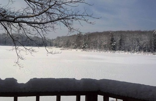 Barryton Cabin | The Card's Nest Rental Cabin on Lake in Wooded Area
