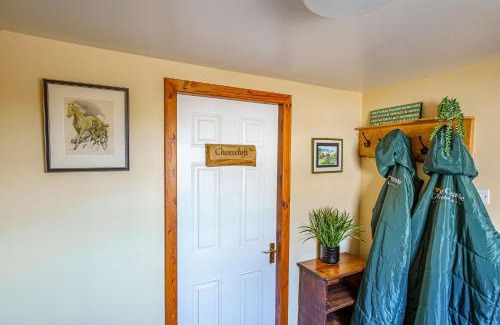 Kirkcudbright Apartment | The Cheeseloft - Spacious one bed with terrace