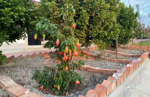 Shuitou Village Bed & Breakfast | The Chen Story