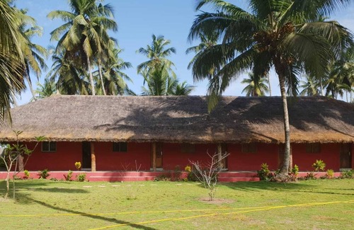 Assinie Ski Chalet | The coconut plantation of Assinie