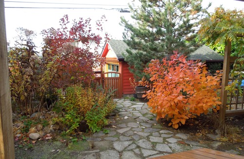 Fairmount Park House | The Coolest Tangerine Dream MIL, in the West Seattle Junction!
