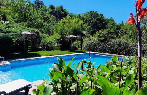 Vila Cha do Marao Apartment | THE COSY CORNER - A SMALL STUDIO FOR LOVERS
