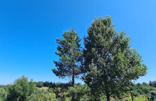 Castres Apartment | The cosy nest