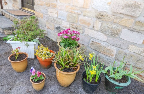 High Peak Cottage | THE COTTAGE AT MOSELEY HOUSE FARM, pet friendly in Chinley